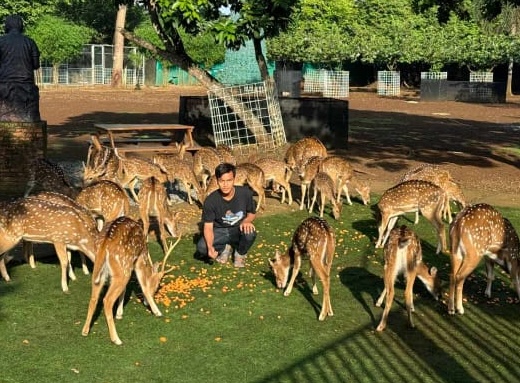 rusa-tutul-nara-kupu-village